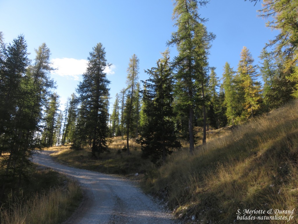 GR94B depuis Superdevoluy menant au Pic de Bure