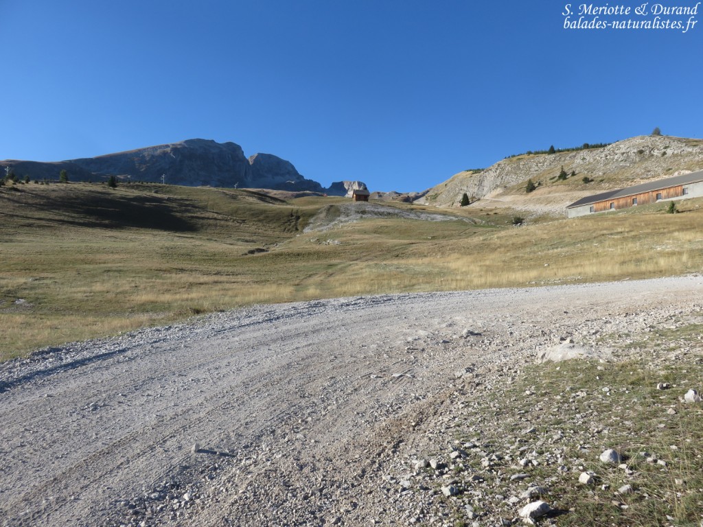 Alpages le long du GR