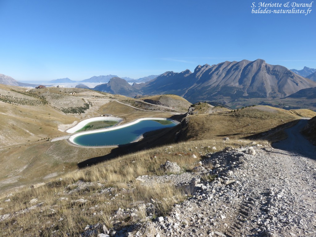 Retenues pour la neige artificielle, un paysage défiguré