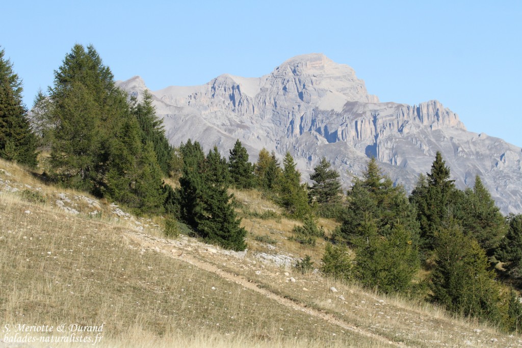 Montée au Pic de Bure depuis Superdevoluy