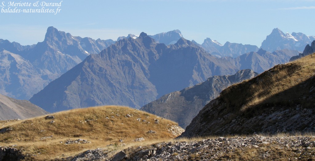 Vue sur les Ecrins depuis le Pic de Bure
