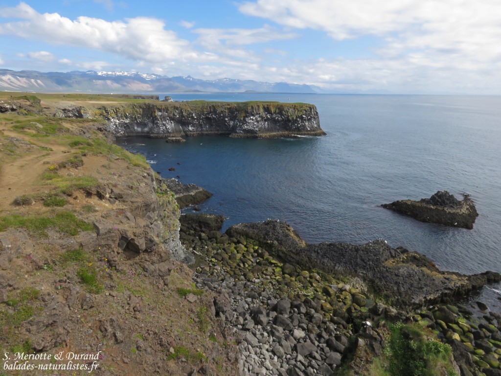 Falaise côtière constituée de roches basaltiques