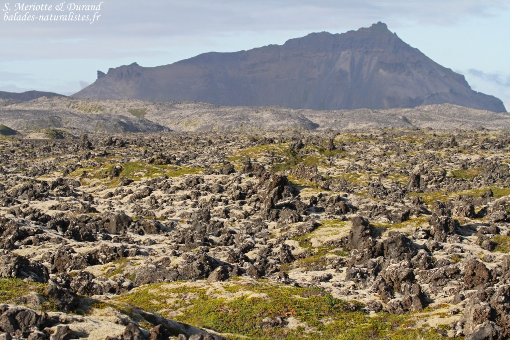 snaefellsnes-islande
