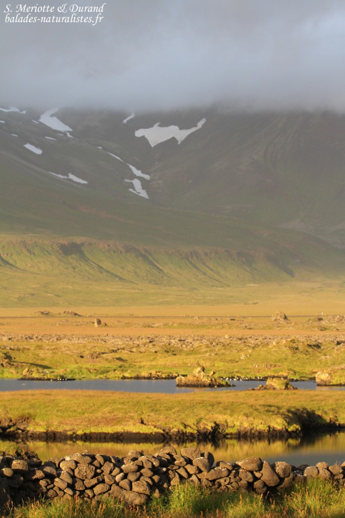 snaefellsnes-islande