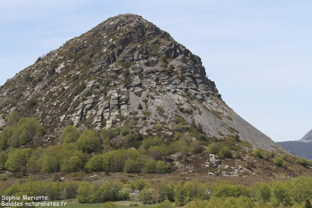 Mont Gerbier de jonc