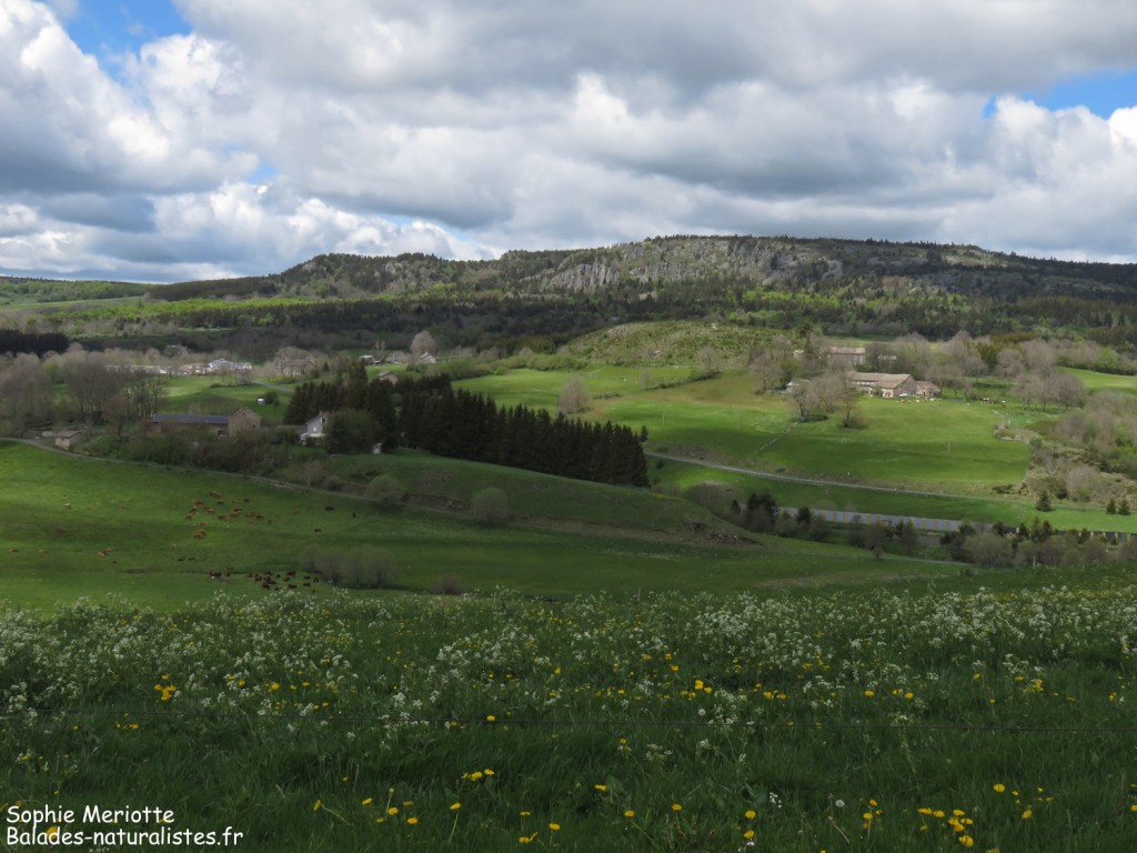 Narse de Chaudeyrolles