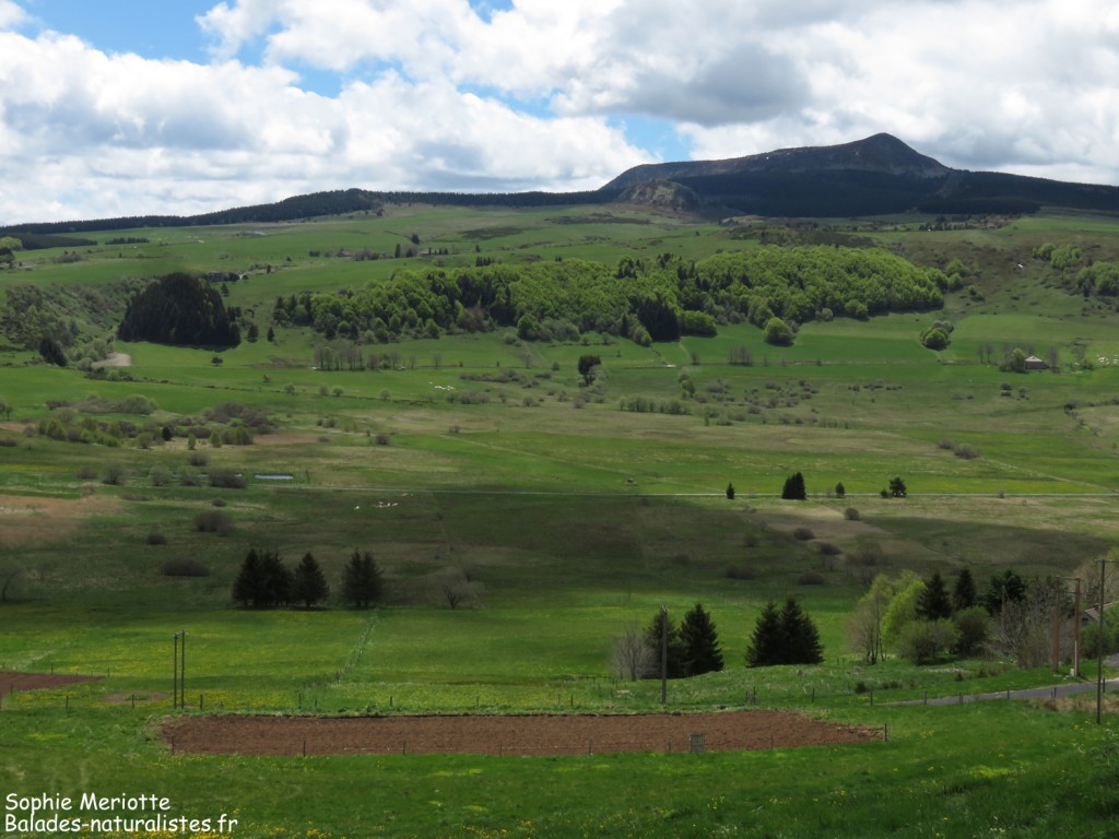Narse de Chaudeyrolles