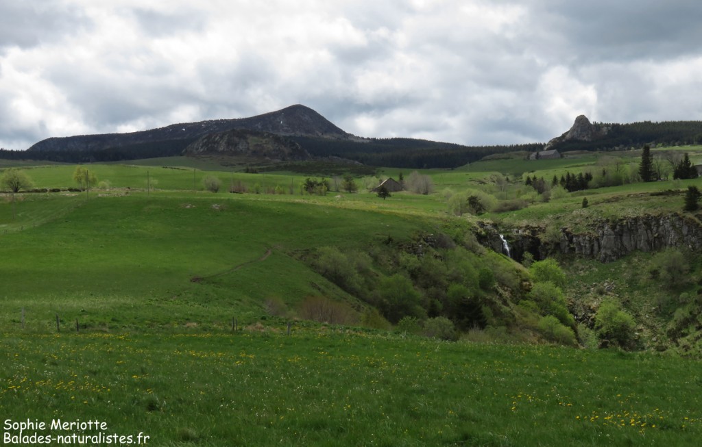 Narse de Chaudeyrolles