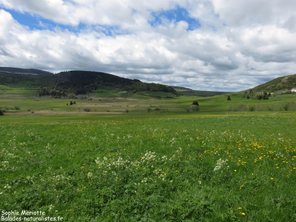 Narse de Chaudeyrolles