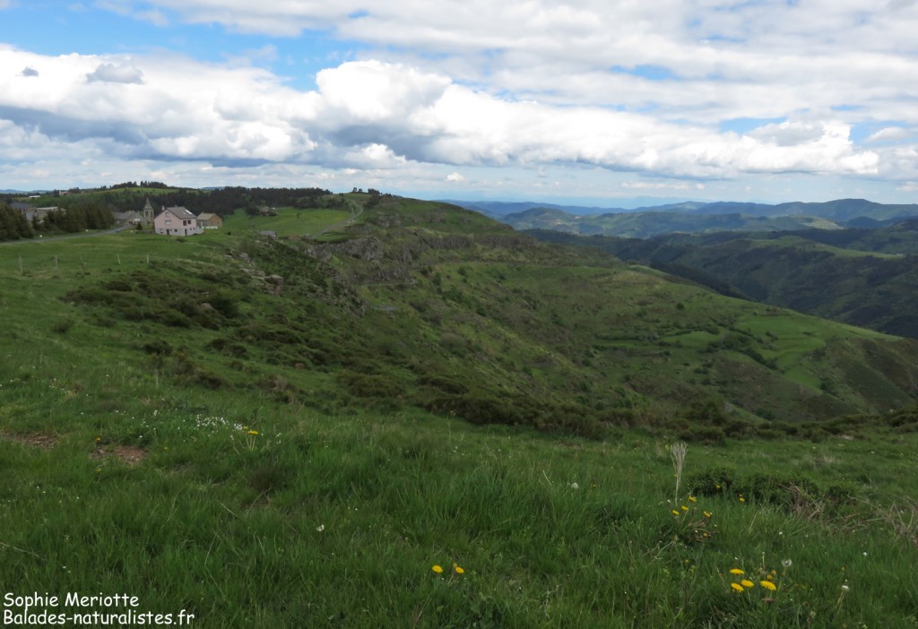 Les coulées de basalte près de Saint-Clément