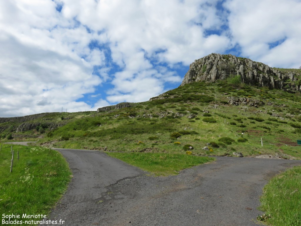 Les coulées de basalte près de Saint-Clément