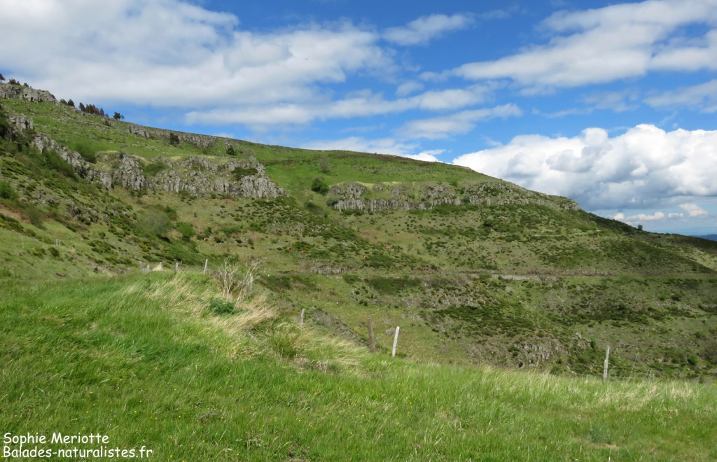 Les coulées de basalte près de Saint-Clément