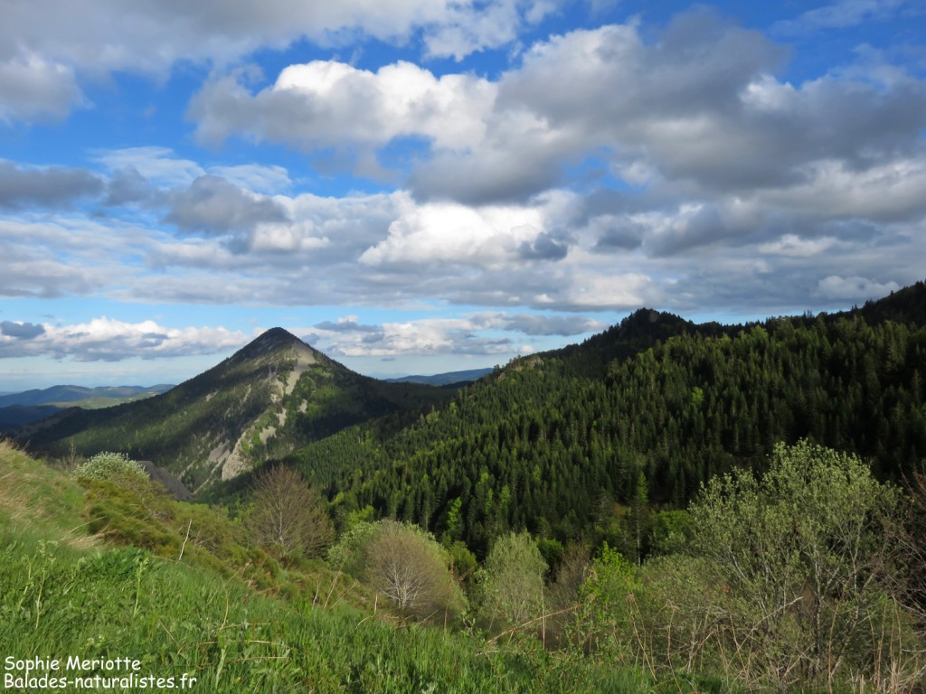 Les monts d'Ardèche