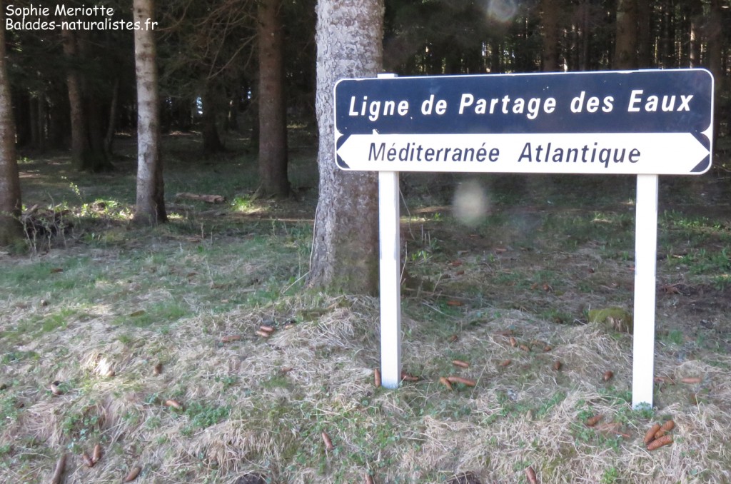 Ligne de partage des eaux sur le Mont Mézenc