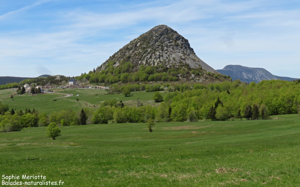 Mont Gerbier de jonc
