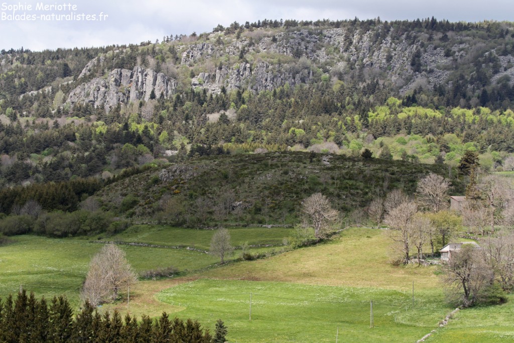 Parc naturel régional des monts d'Ardèche