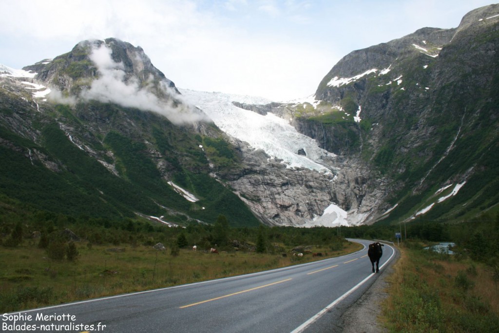 Glacier de Jostedalsbreen