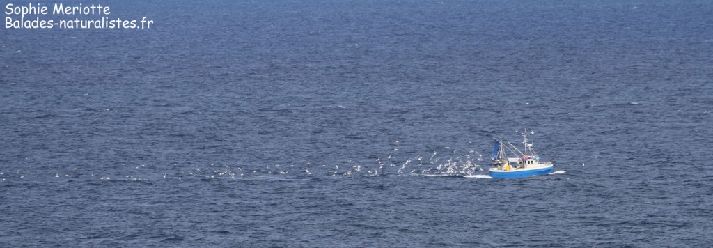 Bateau de pêche devant le phare de Krakenesfyr