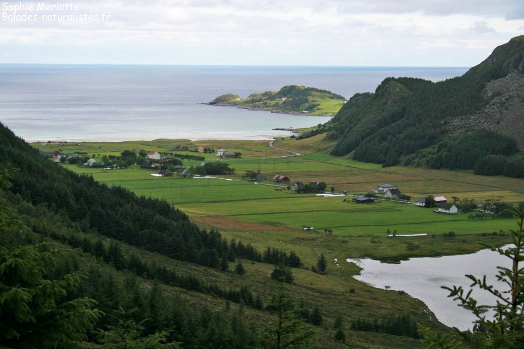 Ile de Vagsoi, Plage de Refviksanden 