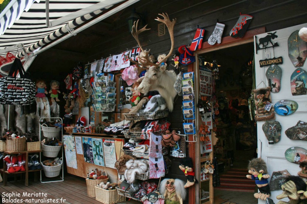 Boutique de souvenirs à Slettafossen 