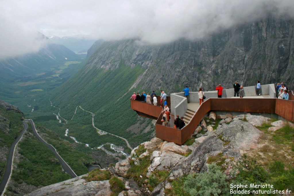 Point de vue sur la Trollstigen 