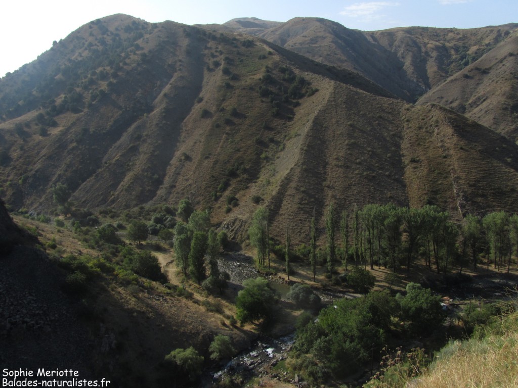 Paysages autour de Védi
