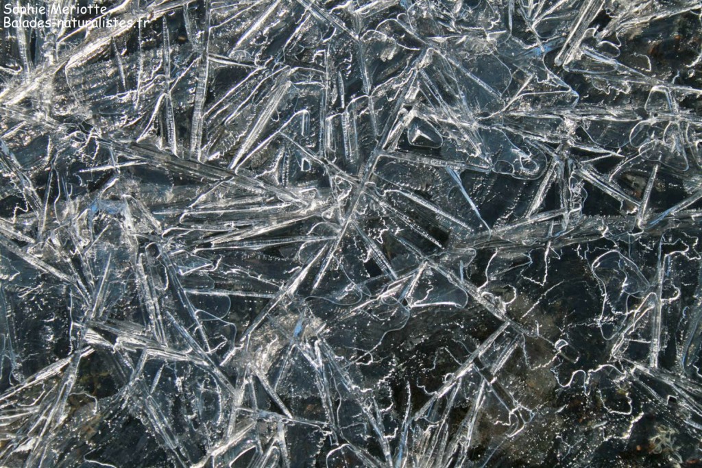 Glace dans l'Hardangervidda