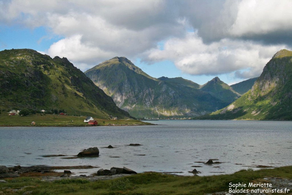 Les Lofoten