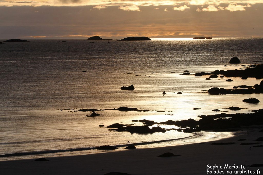 Soleil couchant sur les Lofoten