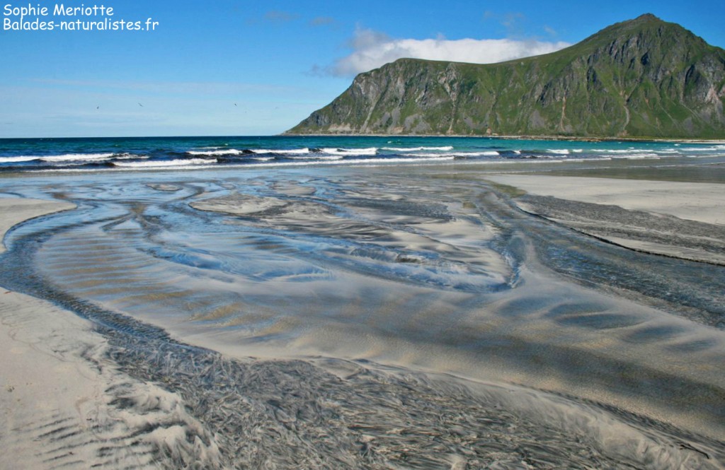 Plage aux Lofoten