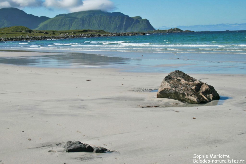 Plage aux Lofoten