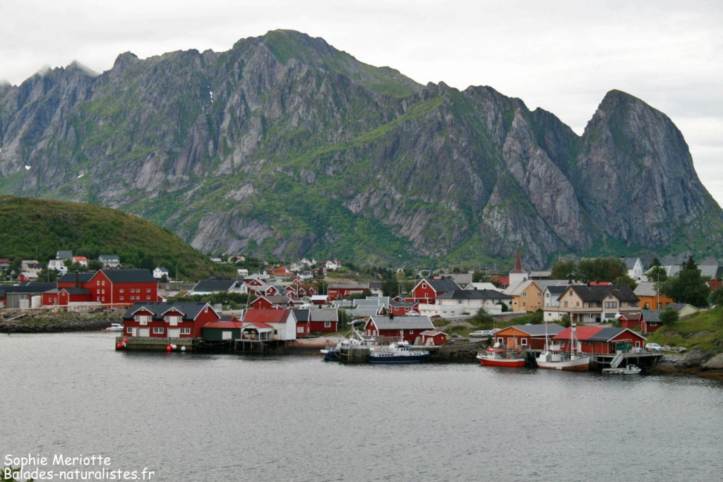 Les Lofoten