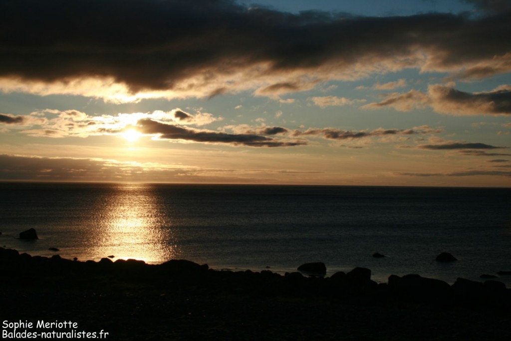 Soleil couchant sur les Lofoten