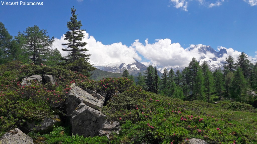 Vue sur le massif du Mont blanc depuis Loriaz