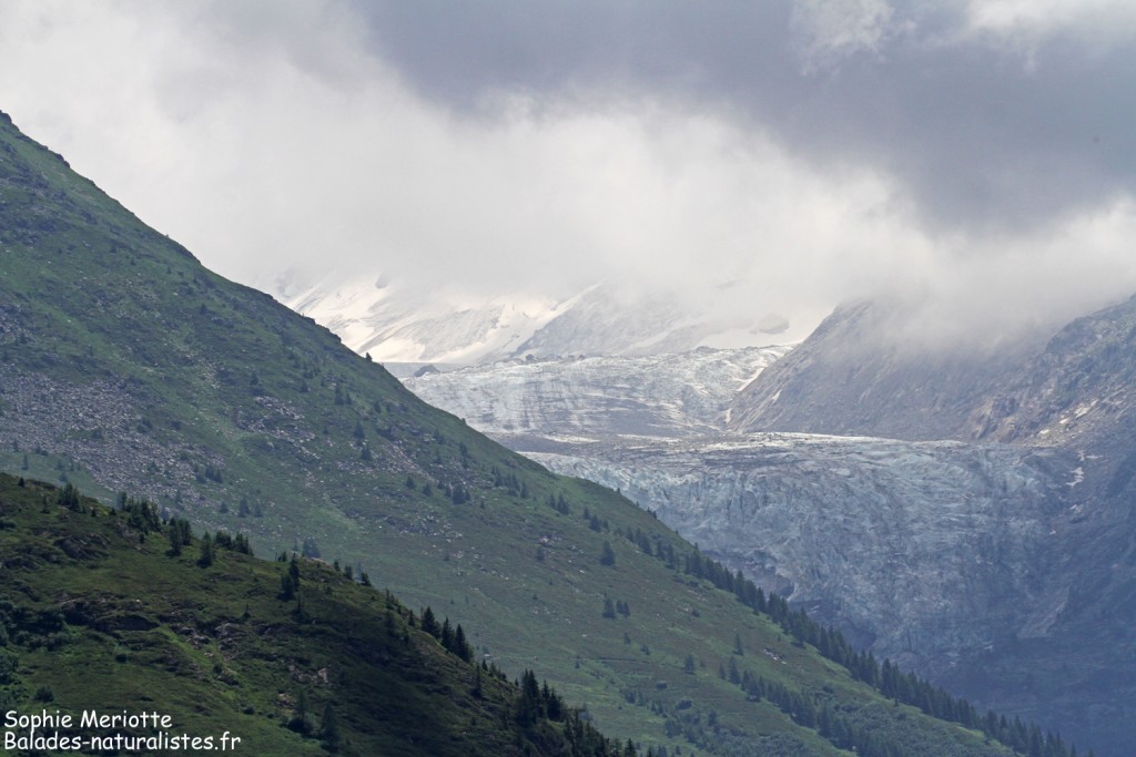 Glacier de l'Argentière vu depuis la montagne de Loriaz