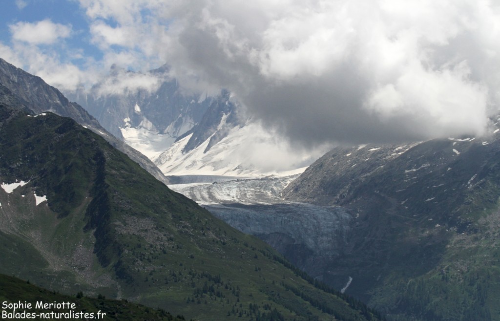 Glacier de l'Argentière vu depuis la montagne de Loriaz