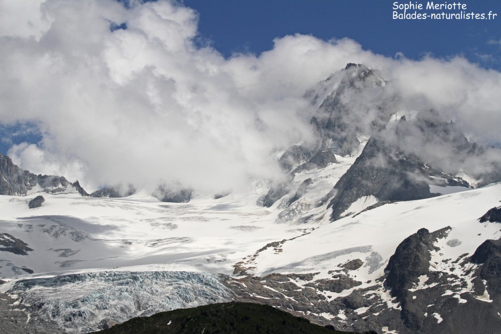 Massif du Mont blanc depuis la montagne de Loriaz