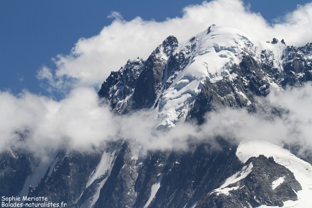Massif du Mont blanc depuis la montagne de Loriaz