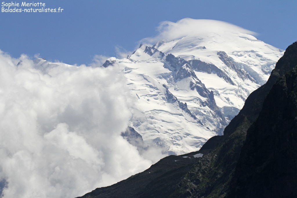 Massif du Mont blanc depuis la montagne de Loriaz