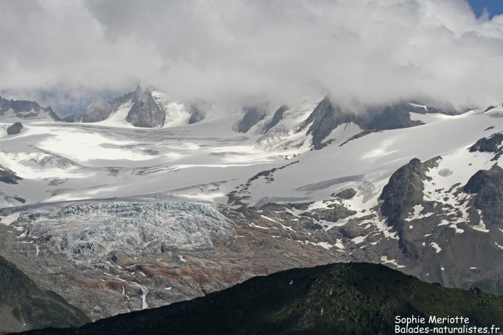 Massif du Mont blanc depuis la montagne de Loriaz