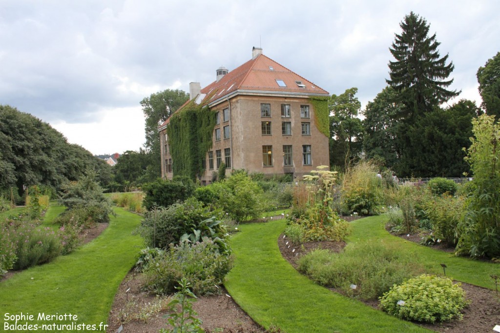Jardin botanique d'Oslo