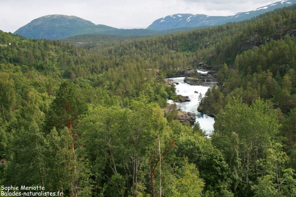 Paysages le long de la route pour Dombas