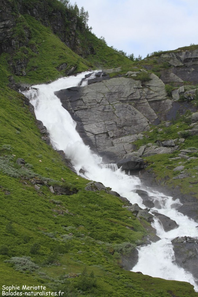 Cascade sur la route