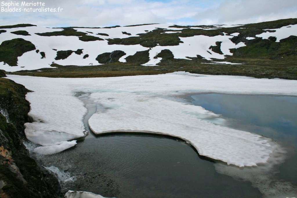Plateau avant de redescendre sur Vik
