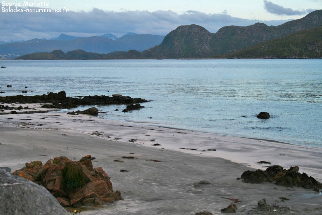 Fin de journée sur l'Ile de Runde