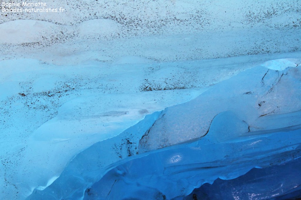 Glacier du Svartisen