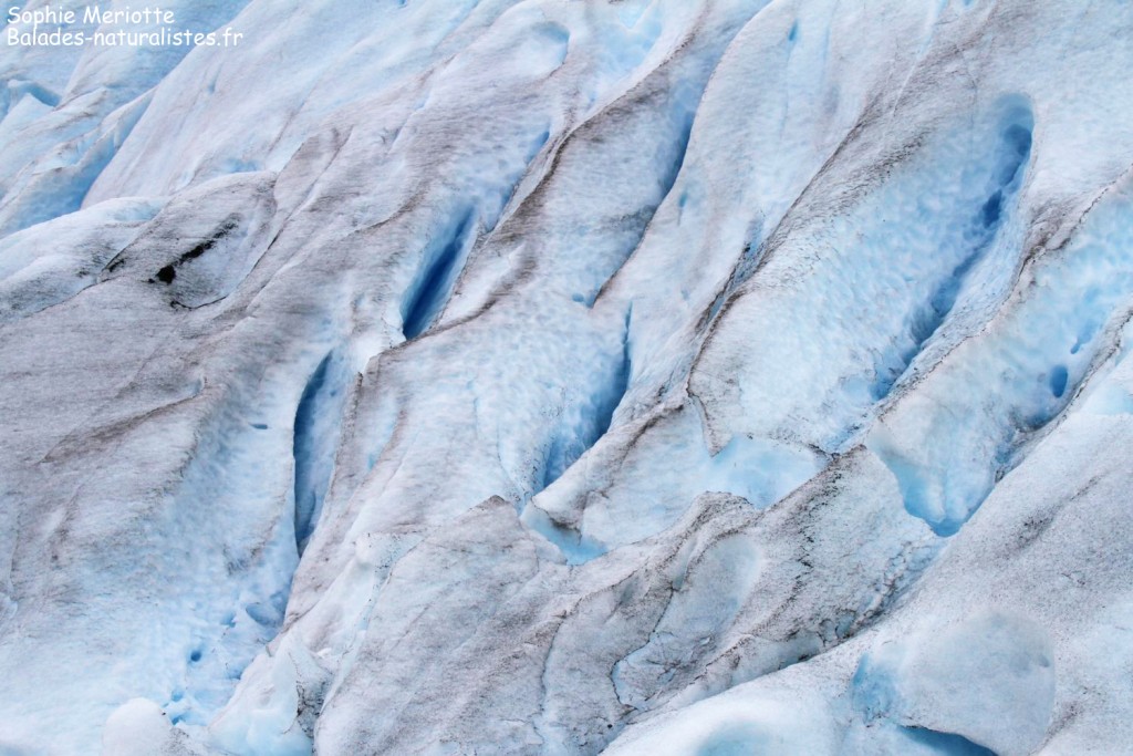 Glacier du Svartisen