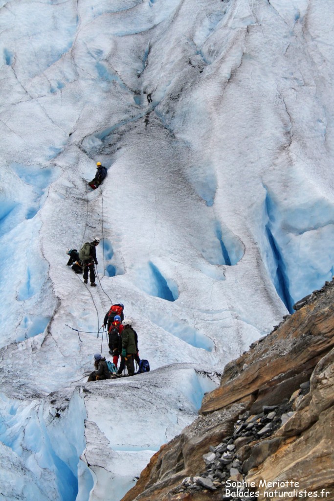 Glacier du Svartisen