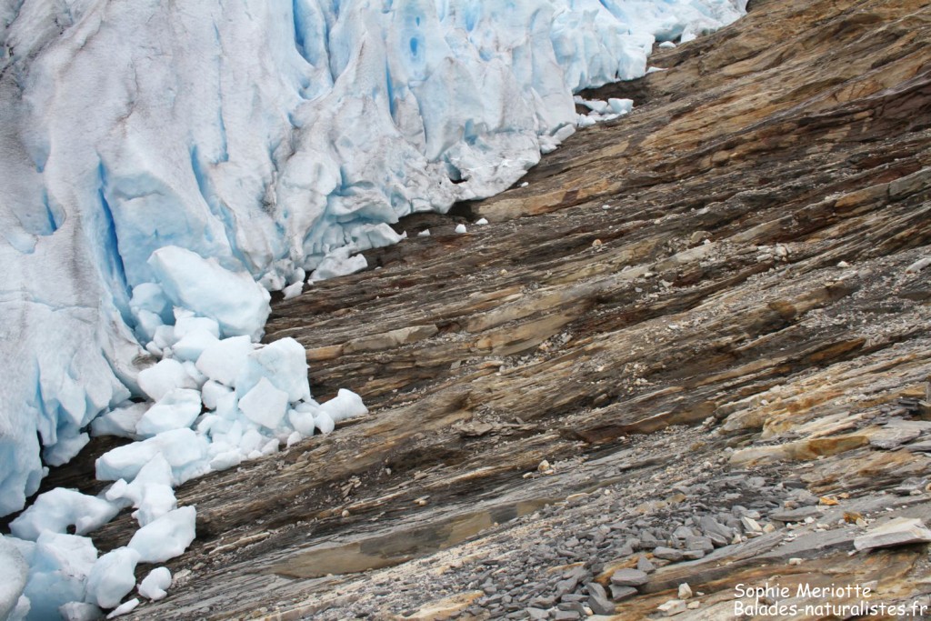 Glacier du Svartisen