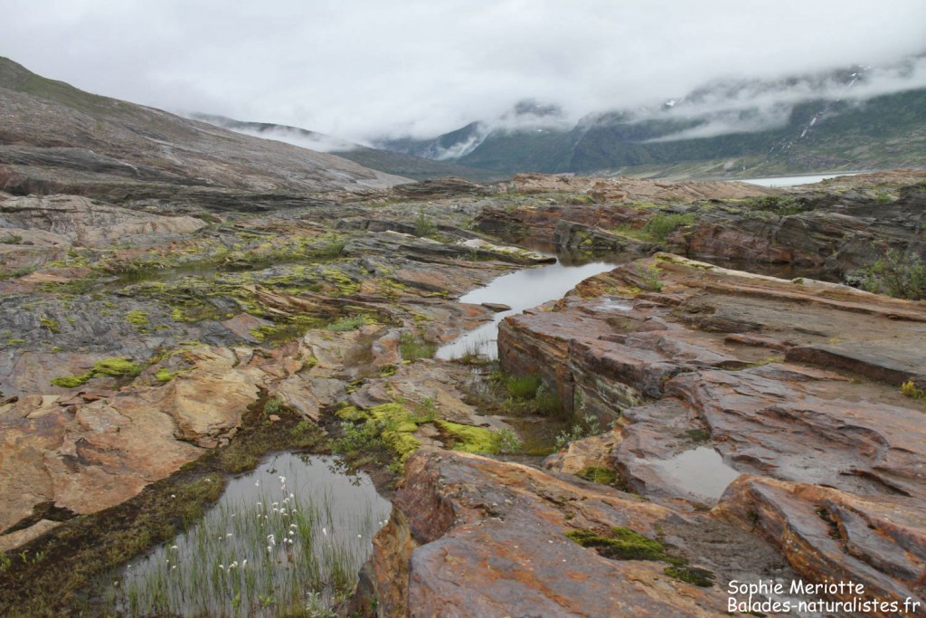 Glacier du Svartisen
